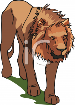 Lion Clipart