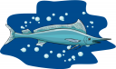 Swordfish Clipart