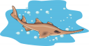 Shark Clipart