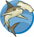 Shark Clipart