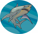 Shark Clipart