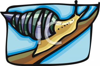 Snail Clipart