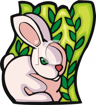 Rabbit Clipart