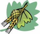St Patricks Day Clipart
