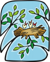 Bird Clipart