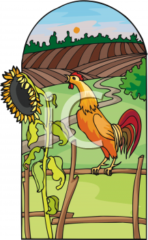 Rooster Clipart