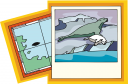 Walrus Clipart