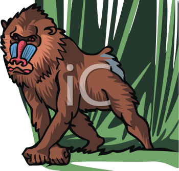 Monkey Clipart