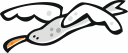 Seagull Clipart