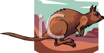 Kangaroo Clipart