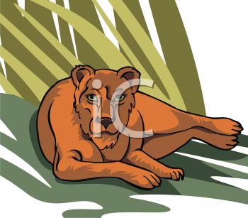 Lion Clipart