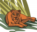 Lion Clipart