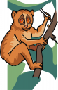 Monkey Clipart