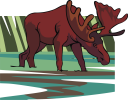 Moose Clipart