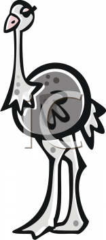 Ostrich Clipart