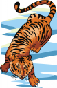 Tiger Clipart
