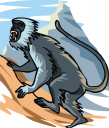 Monkey Clipart