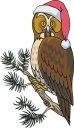 Owl Clipart