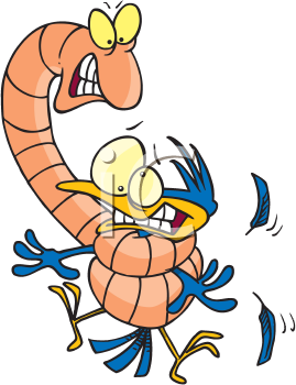 Worm Clipart