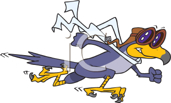 Falcon Clipart