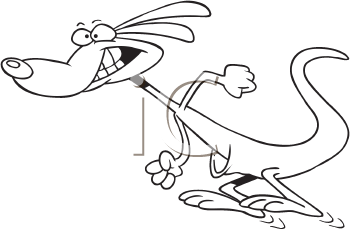 Kangaroo Clipart