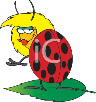 Ladybug Clipart