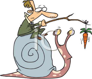 Snail Clipart