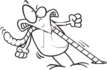 Robin Clipart