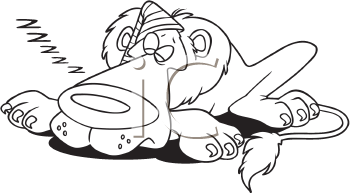 Lion Clipart