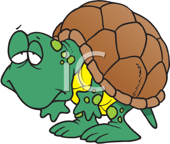 Pet Clipart