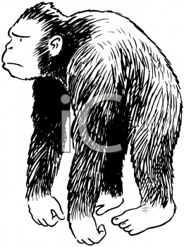 Monkey Clipart