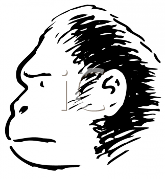Monkey Clipart