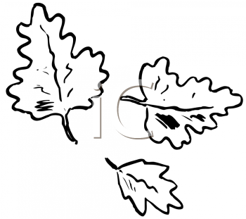 Thanksgiving Clipart