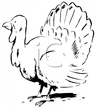 Thanksgiving Clipart