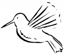 Hummingbird Clipart