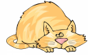 Kitten Clipart
