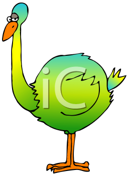 Ostrich Clipart