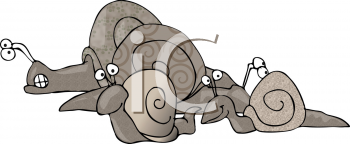 Snail Clipart
