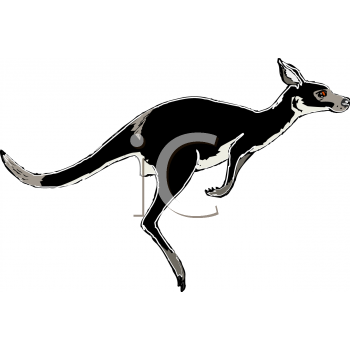 Kangaroo Clipart