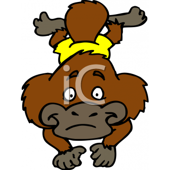 Platypus Clipart