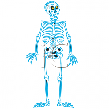 Skeleton Clipart