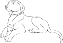 Leopard Clipart