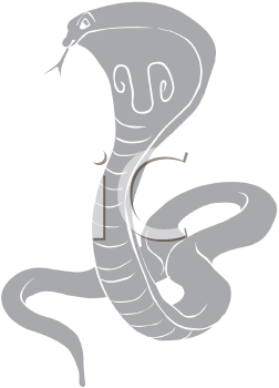 Cobra Clipart