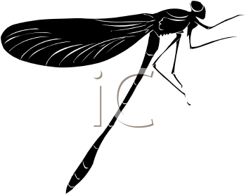 Dragonfly Clipart