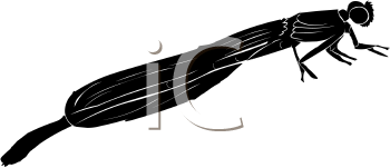 Dragonfly Clipart