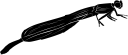 Dragonfly Clipart