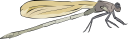 Dragonfly Clipart