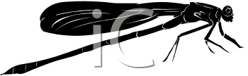 Dragonfly Clipart