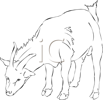 Goat Clipart