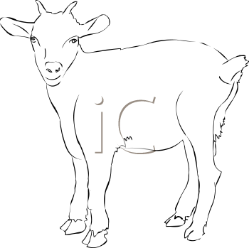 Goat Clipart